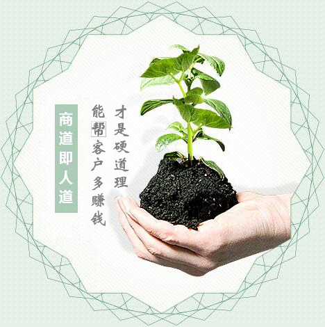 蔬菜種子經(jīng)營(yíng)，商道即人道