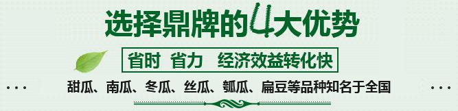 購(gòu)買(mǎi)蔬菜種子，選擇鼎牌的四大優(yōu)勢(shì)