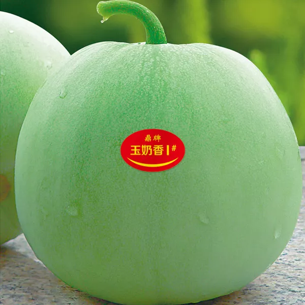 薄皮甜瓜，哪個品種最好呢？畝產(chǎn)高達(dá)10萬，附4種市場爆款品種