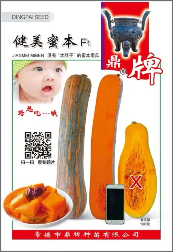 3元1斤的健美蜜本南瓜快成熟了，緬甸種植戶發(fā)來圖片與視頻