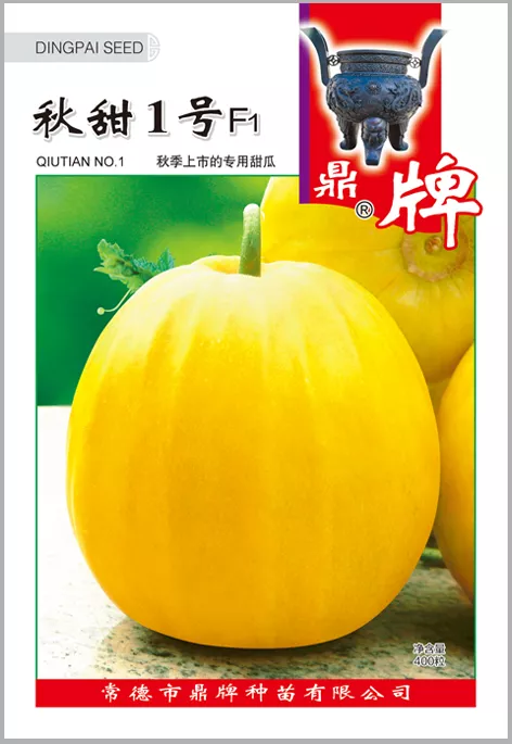 高溫季節(jié)種植甜瓜，什么品種最好？這個(gè)品種是秋季上市的專用品種