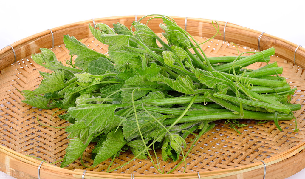 種這種綠葉菜，栽培輕松，畝產(chǎn)值過萬元，菜農(nóng)表示很劃算