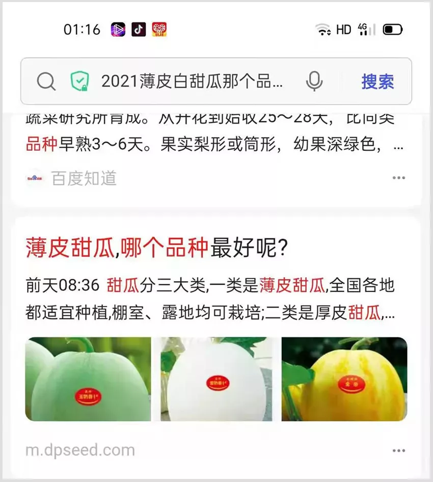 河南焦作的李向林今年種植甜瓜新品種，客戶直接拉貨走人