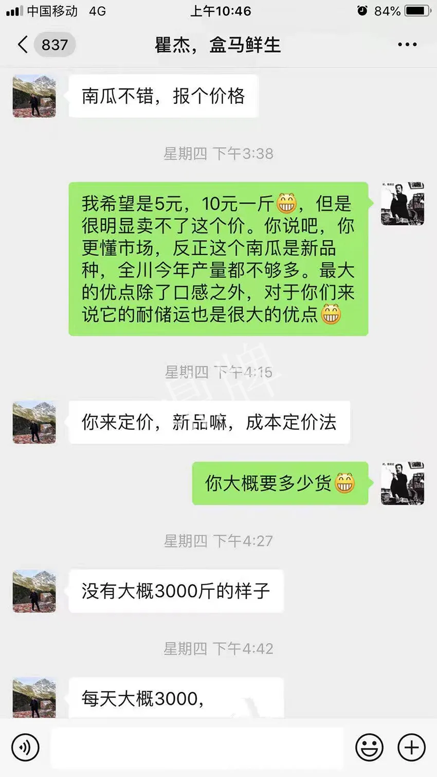 四川農(nóng)戶今年種“健美蜜本”南瓜產(chǎn)量高，品質(zhì)好，感覺巴適得很