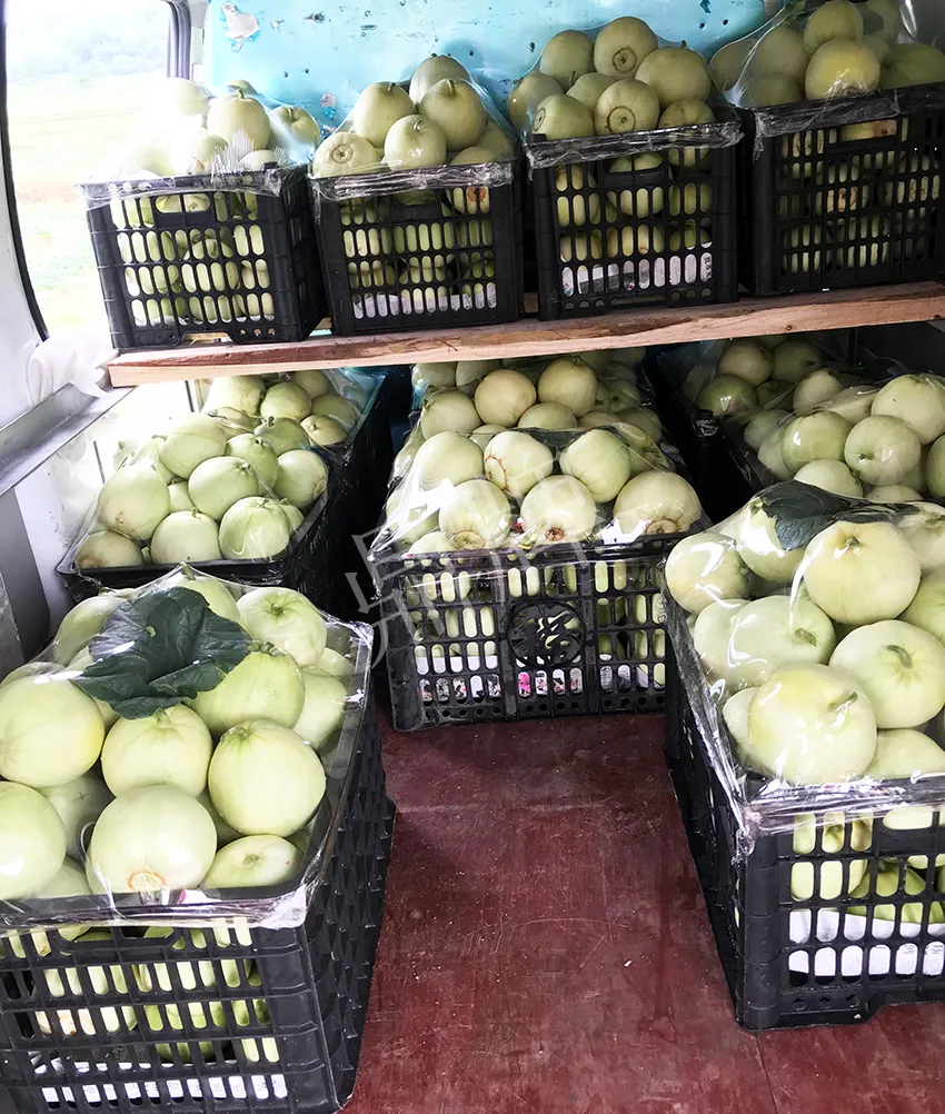 郴州農(nóng)戶種植新品種，果實(shí)又香又甜，很好賣