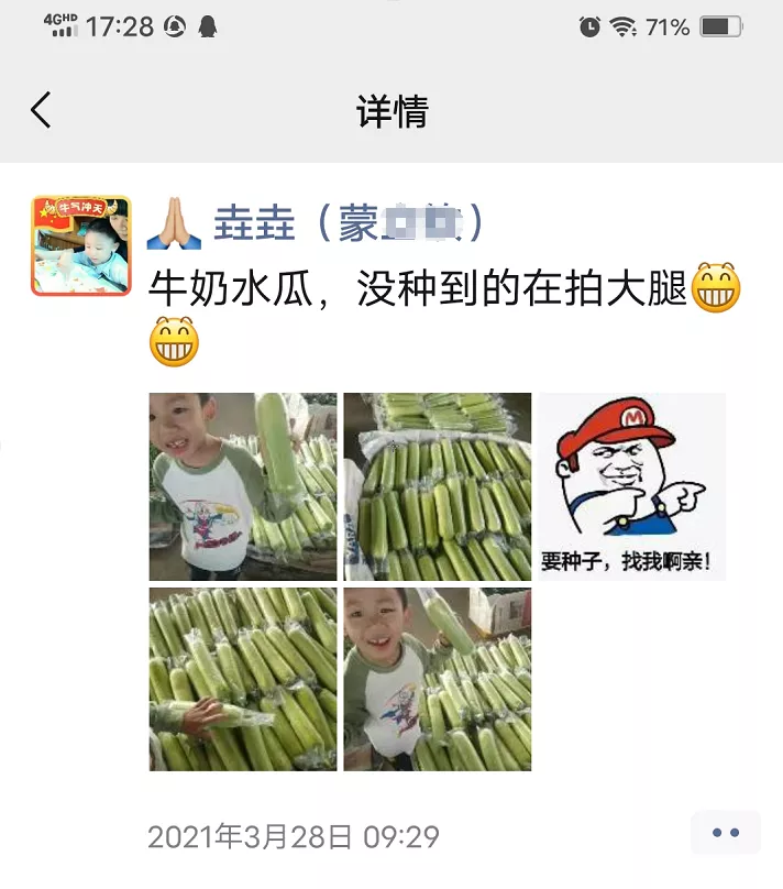 這個(gè)絲瓜每畝能掙3萬(wàn)，沒(méi)種植的農(nóng)戶后悔得拍大腿