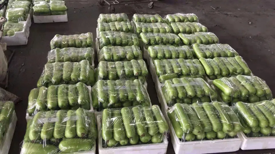 這個品種上市早，價格好！我連續(xù)種了三年，滿意