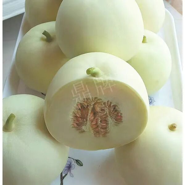 蔬菜種子種植戶客戶點評-這個品種幫我留一些，4月份我們當(dāng)?shù)剡€要種一批呢！