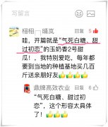 蔬菜種子種植戶客戶點(diǎn)評(píng)-“氣死白糖，甜過初戀”，您知道或體驗(yàn)過這句話嗎